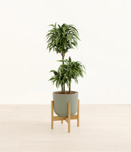 Load image into Gallery viewer, Sage Green stand:bamboo
