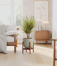 Load image into Gallery viewer, Sage Green stand:walnut
