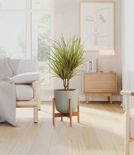 Load image into Gallery viewer, Sage Green stand:bamboo
