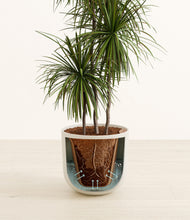 Load image into Gallery viewer, Sandy Pink stand:all
