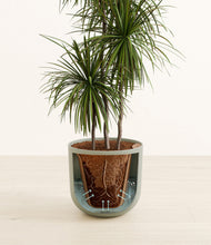 Load image into Gallery viewer, Sage Green stand:all
