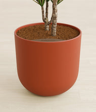 Load image into Gallery viewer, Earth Red stand:all
