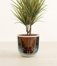 Load image into Gallery viewer, Natural Bamboo stand:all
