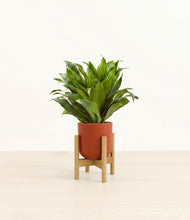 Load image into Gallery viewer, Earth Red stand:light
