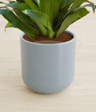 Load image into Gallery viewer, Misty Blue stand:all
