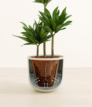 Load image into Gallery viewer, Natural Bamboo stand:all
