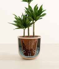 Load image into Gallery viewer, Sandy Pink stand:all
