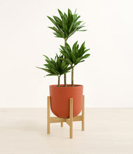 Load image into Gallery viewer, Earth Red stand:bamboo
