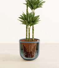 Load image into Gallery viewer, Earth Red stand:all
