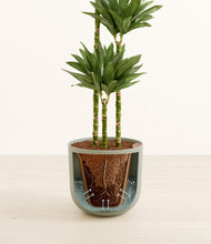 Load image into Gallery viewer, Natural Bamboo stand:all
