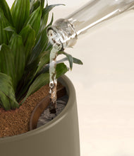 Load image into Gallery viewer, Olive stand:all
