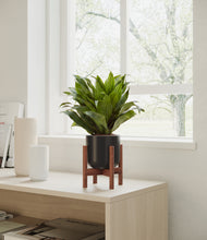 Load image into Gallery viewer, Stone Black stand:dark
