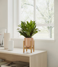 Load image into Gallery viewer, Glossy Pink stand:all
