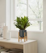 Load image into Gallery viewer, Iron Gray stand:all

