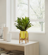 Load image into Gallery viewer, Key Lime Yellow stand:all
