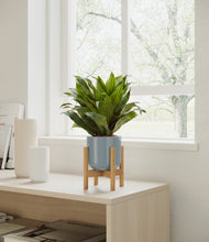 Load image into Gallery viewer, Misty Blue stand:all
