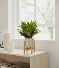 Load image into Gallery viewer, Sage Green stand:all
