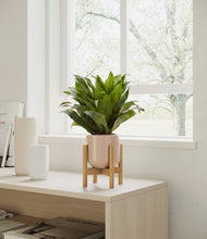 Load image into Gallery viewer, Sandy Pink stand:all

