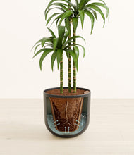 Load image into Gallery viewer, Natural Bamboo stand:all
