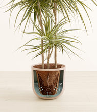 Load image into Gallery viewer, Sage Green stand:all
