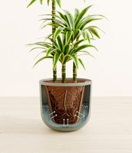 Load image into Gallery viewer, Sage Green stand:all

