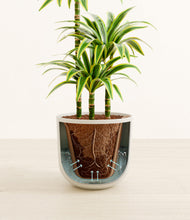 Load image into Gallery viewer, Natural Bamboo stand:all
