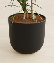 Load image into Gallery viewer, Stone Black stand:all
