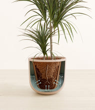Load image into Gallery viewer, Sandy Pink stand:all
