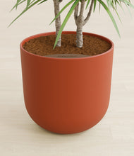 Load image into Gallery viewer, Earth Red stand:all
