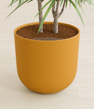 Load image into Gallery viewer, Sunset Orange stand:all
