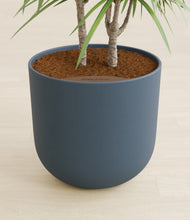 Load image into Gallery viewer, Iron Gray stand:all
