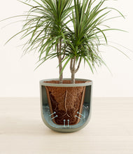 Load image into Gallery viewer, Sage Green stand:all

