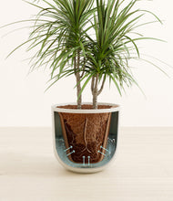 Load image into Gallery viewer, Natural Bamboo stand:all
