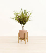 Load image into Gallery viewer, Striped Peach Pink stand:bamboo
