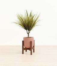 Load image into Gallery viewer, Striped Rose Pink stand:walnut
