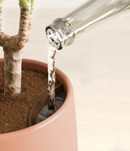 Load image into Gallery viewer, Calm Rose stand:all
