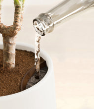 Load image into Gallery viewer, White stand:all
