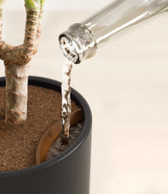 Load image into Gallery viewer, Stone Black stand:all
