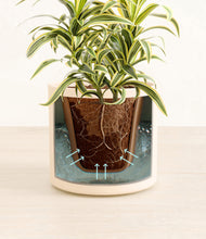 Load image into Gallery viewer, Cream stand:all
