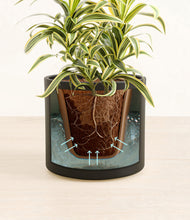 Load image into Gallery viewer, Black stand:all
