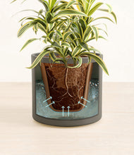 Load image into Gallery viewer, Dark Olive stand:all
