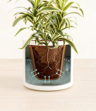 Load image into Gallery viewer, White stand:all
