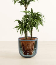 Load image into Gallery viewer, Iron Gray stand:all
