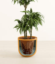 Load image into Gallery viewer, Sunset Orange stand:all
