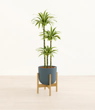 Load image into Gallery viewer, Iron Gray stand:bamboo
