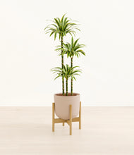 Load image into Gallery viewer, Sandy Pink stand:bamboo
