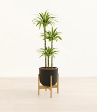 Load image into Gallery viewer, Stone Black stand:bamboo

