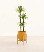 Load image into Gallery viewer, Sunset Orange stand:bamboo
