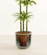 Load image into Gallery viewer, Sage Green stand:all
