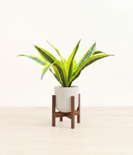Load image into Gallery viewer, Natural Bamboo stand:walnut
